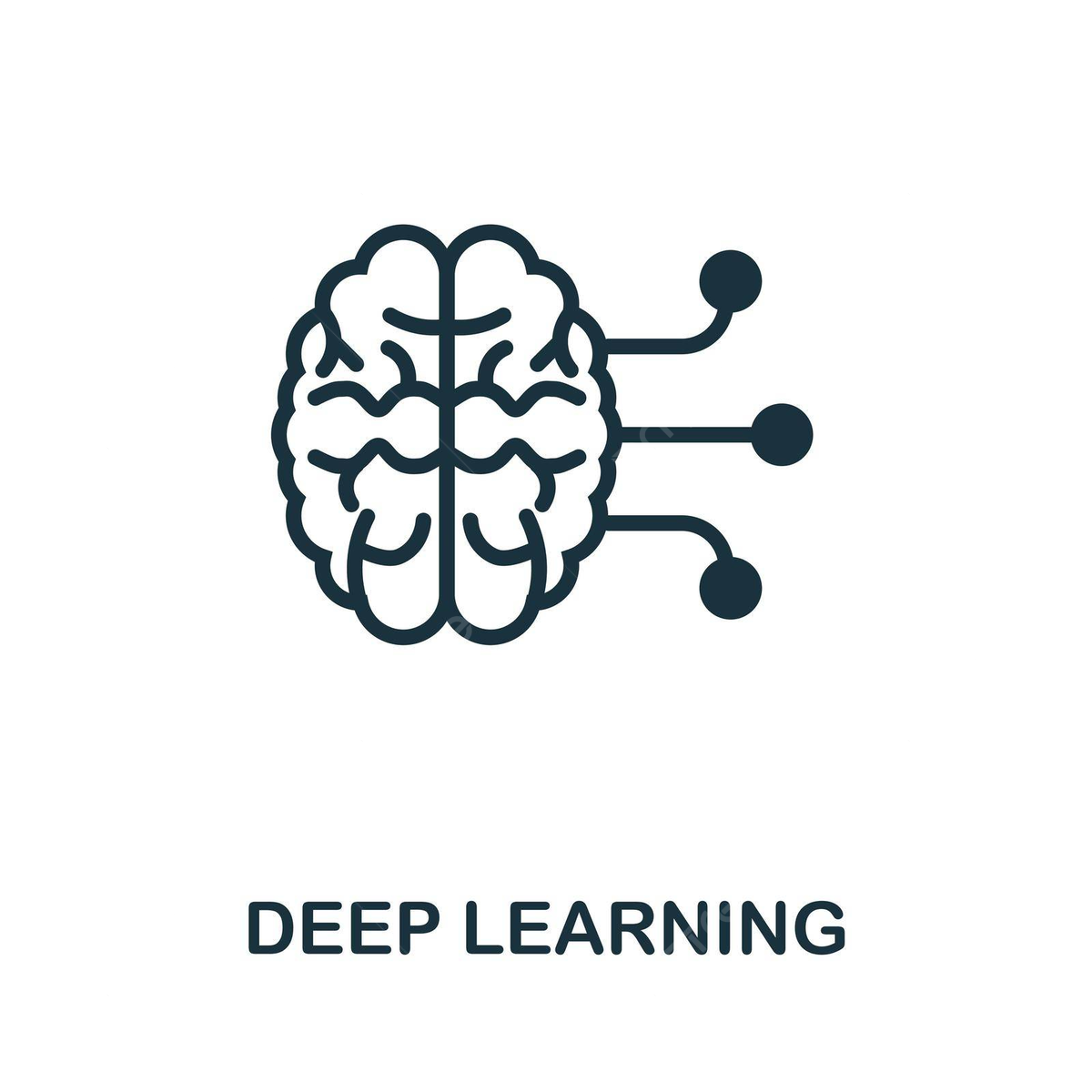 CSE4006 Deep Learning